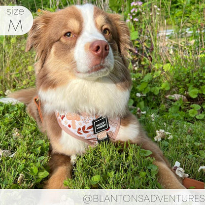 SPORGEOUS Adjustable Dog Harness with Mushroom Spore Pattern