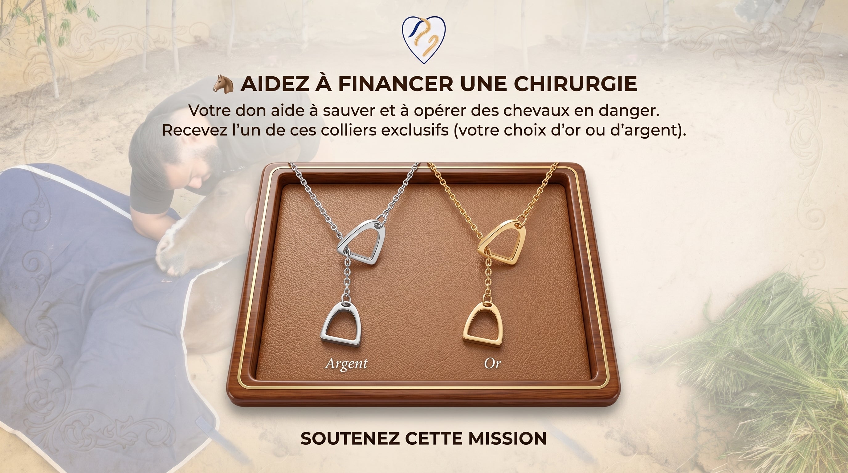 Aidez Ali à financer les chirurgies d'urgence et les soins vitaux pour les chevaux rescapés du refuge !