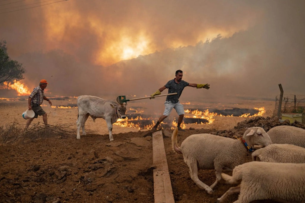 European Wildfire Animal Emergency Rescue 2026